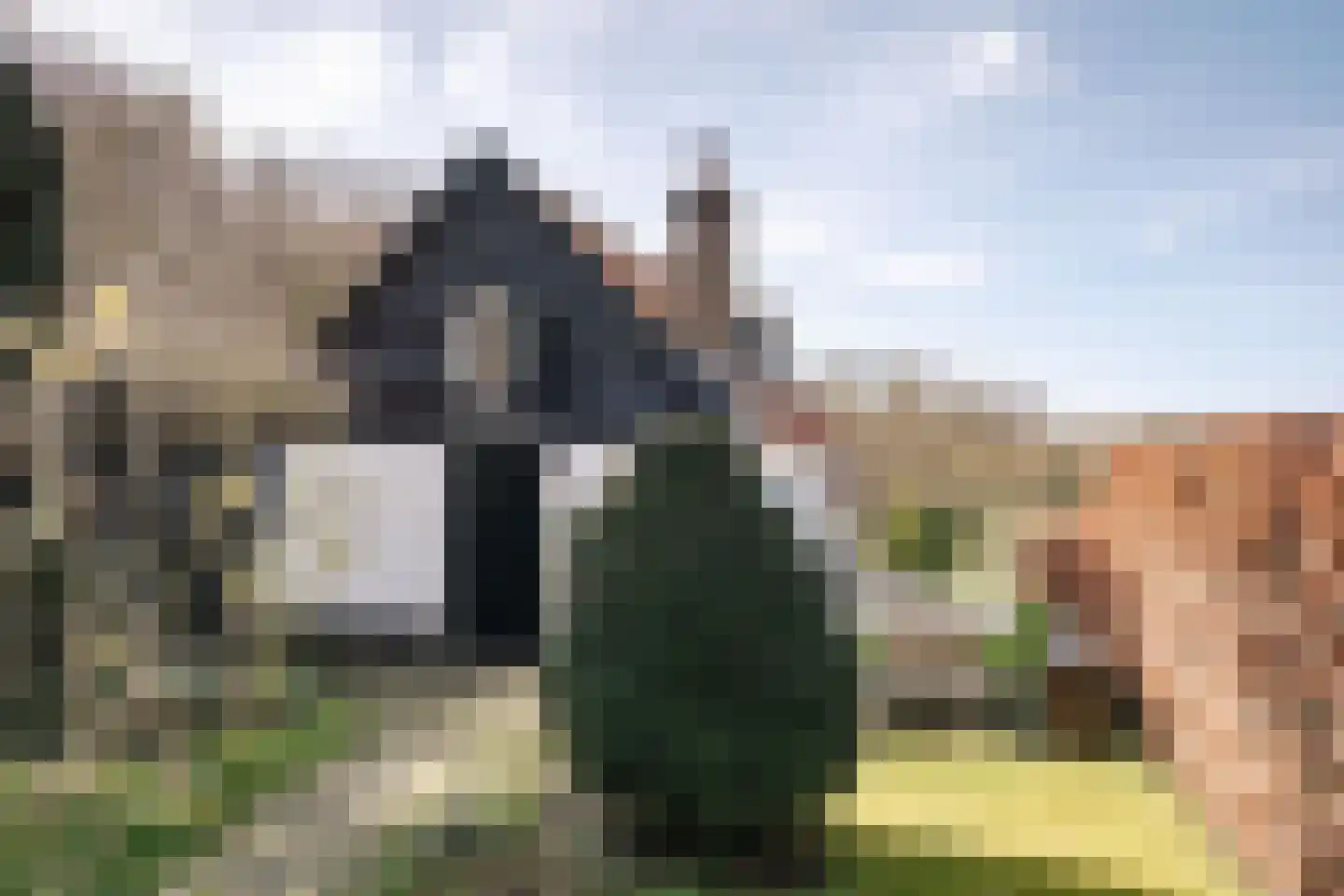 Middenduinerweg 82 Santpoort-Zuid thumbnail 17