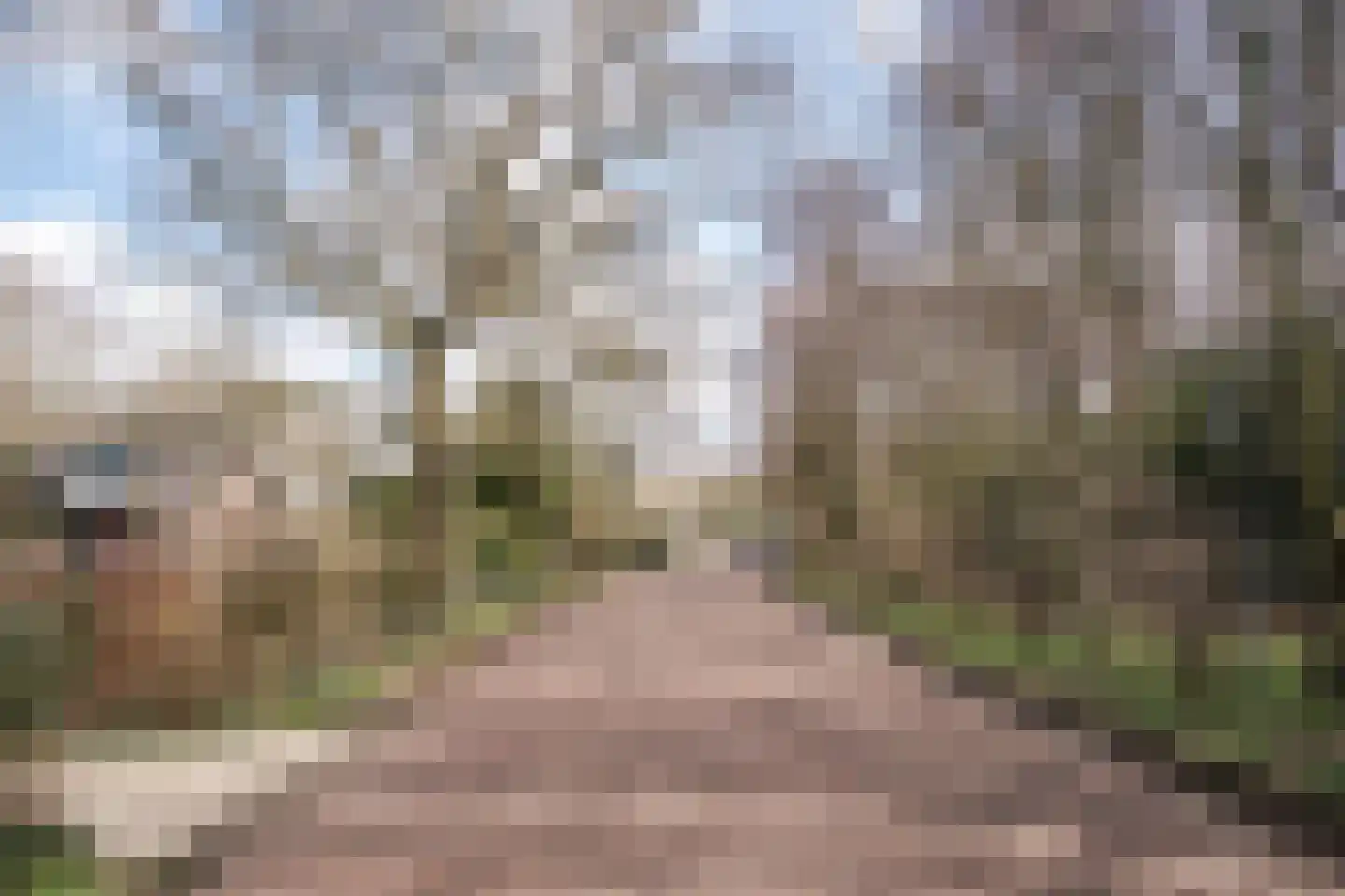 Middenduinerweg 82 Santpoort-Zuid thumbnail 7