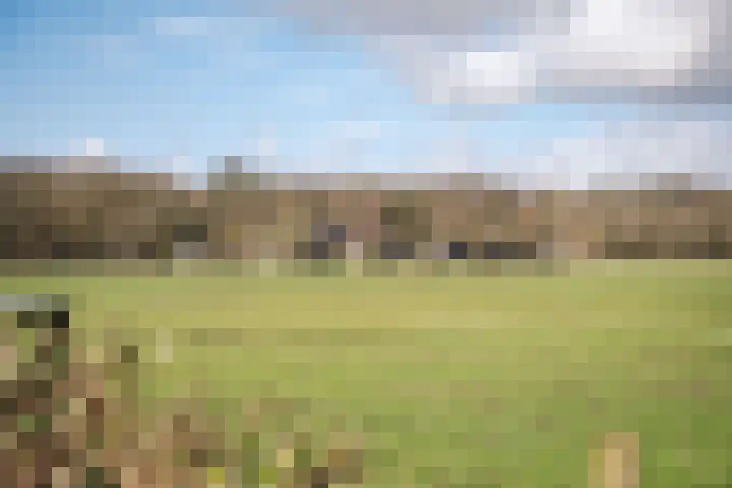 Middenduinerweg 82 Santpoort-Zuid thumbnail 8