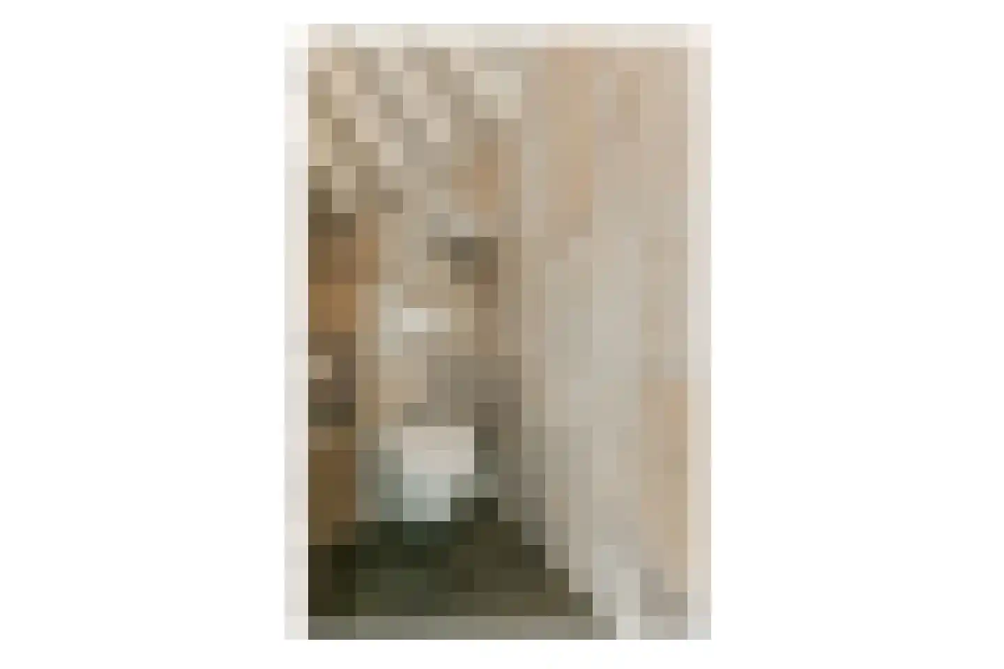 Middenerf 19 Abbekerk thumbnail 10