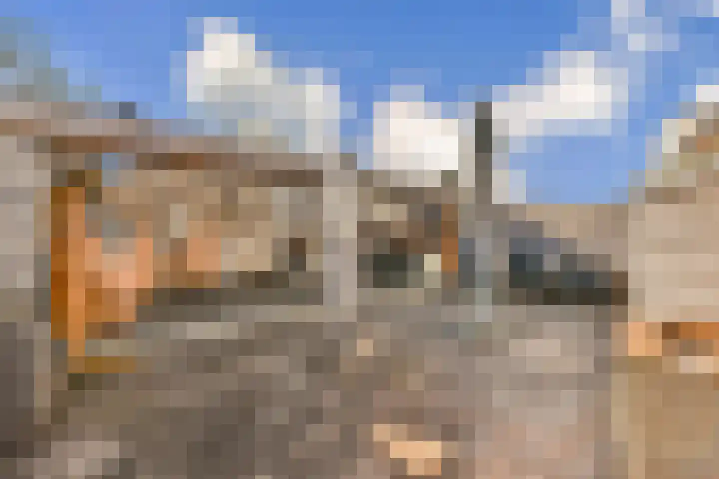 Middenerf 19 Abbekerk thumbnail 12