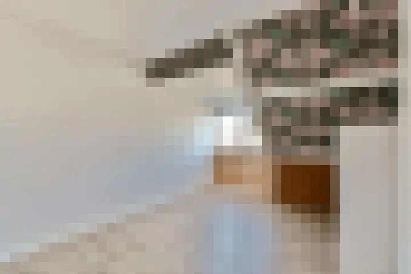 Middenerf 19 Abbekerk thumbnail 17