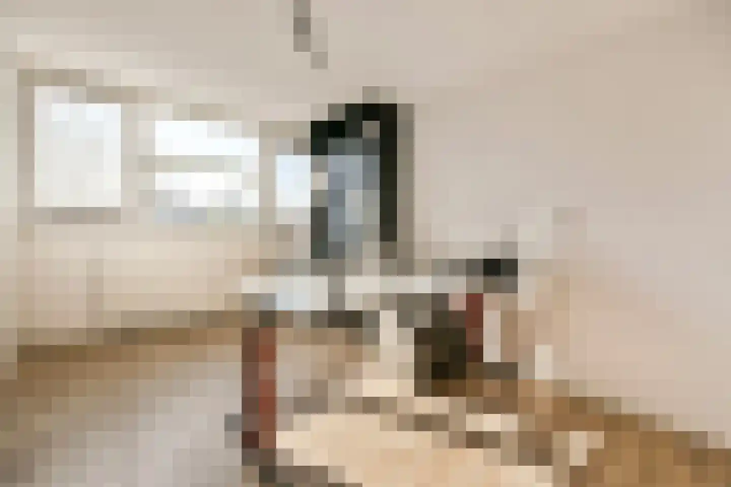 Middenerf 19 Abbekerk thumbnail 19
