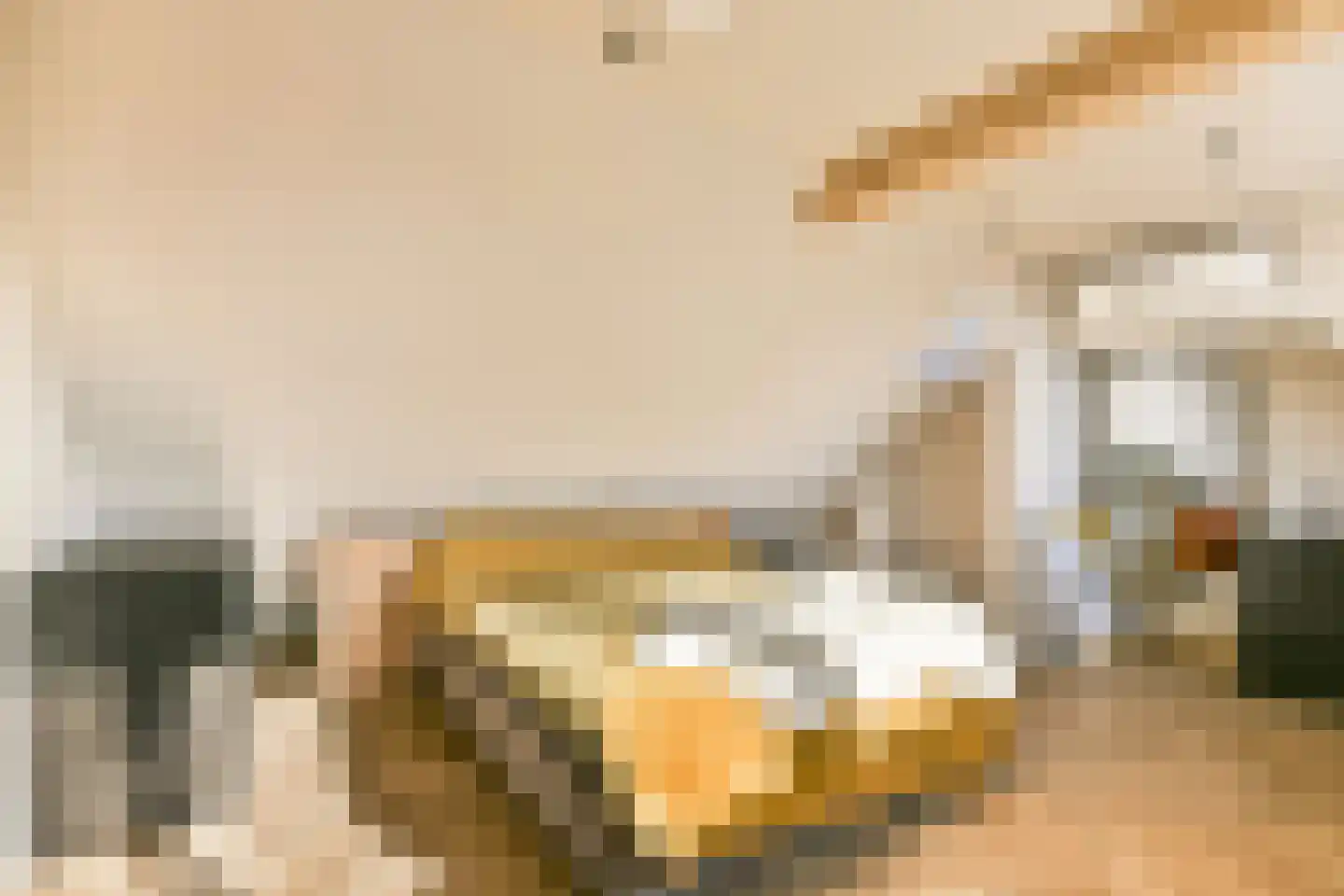 Middenerf 19 Abbekerk thumbnail 23