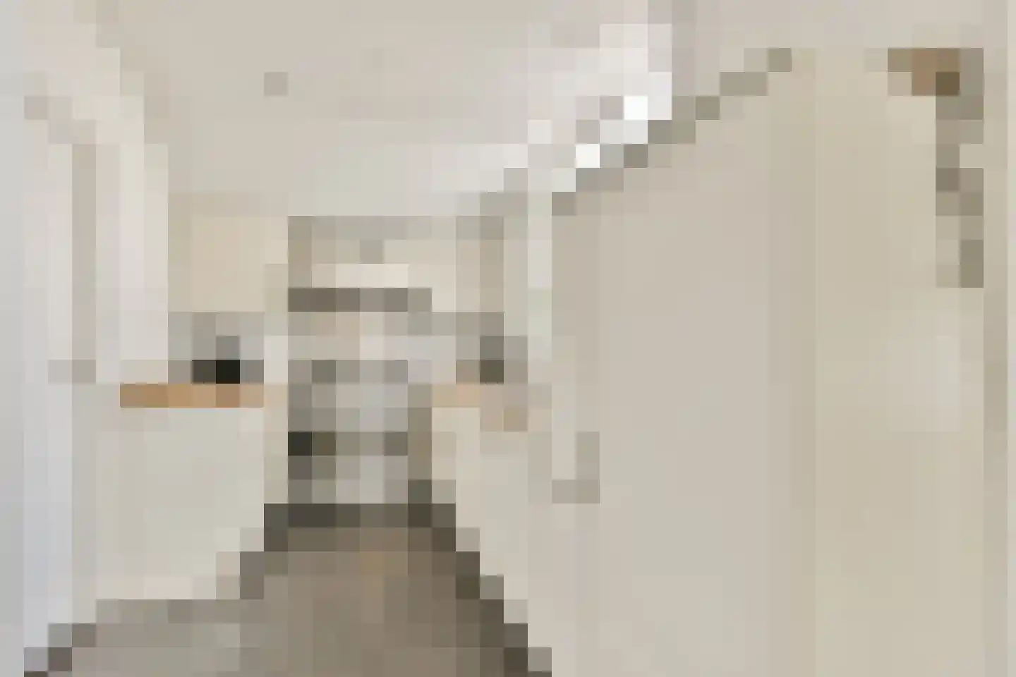 Middenerf 19 Abbekerk thumbnail 9