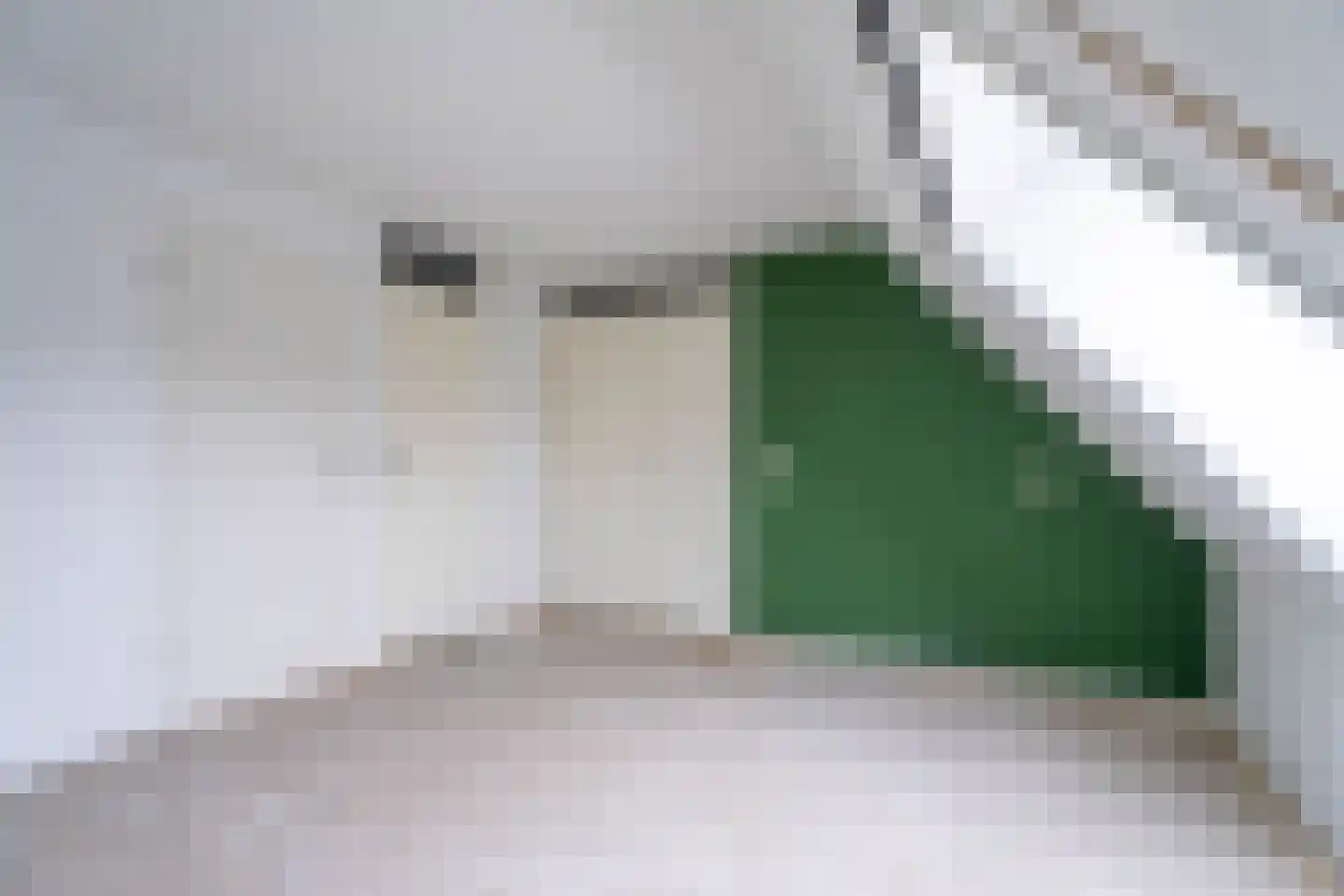 Middenerf 2 Breda thumbnail 15