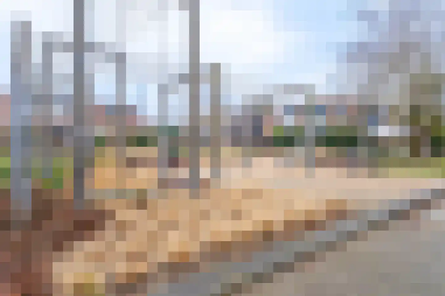 Middenerf 2 Breda thumbnail 24