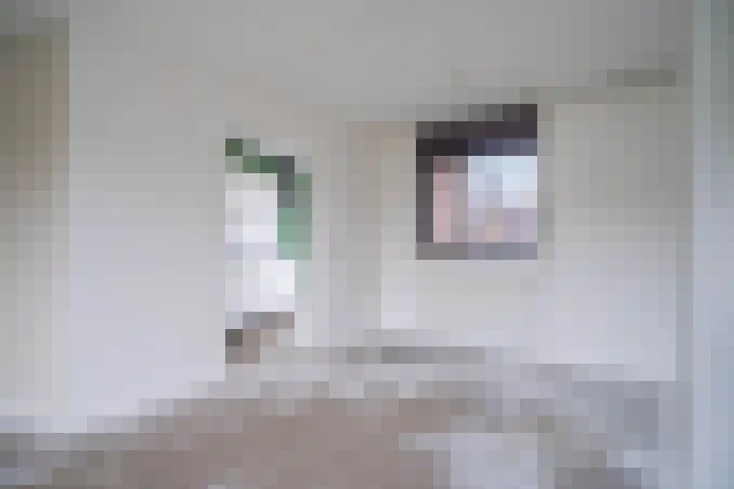 Middenerf 2 Breda thumbnail 9