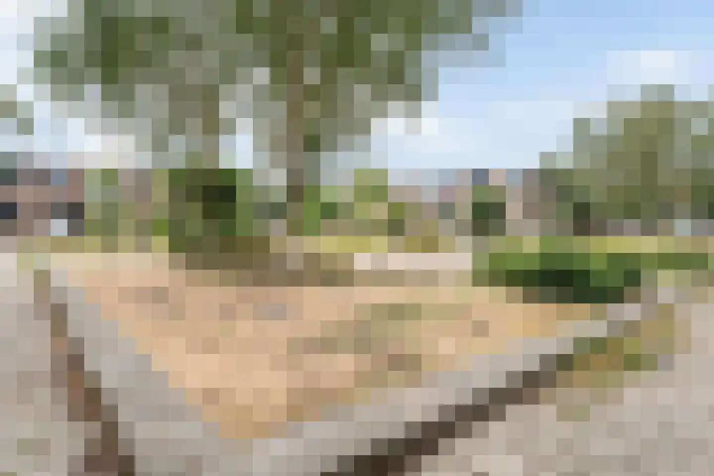Middenerf 50 Breda thumbnail 26