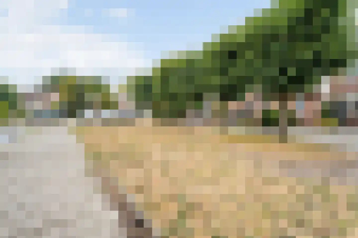 Middenerf 50 Breda thumbnail 27