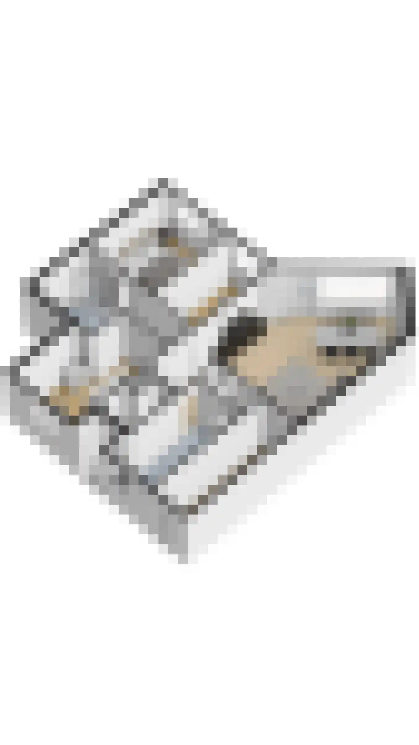 Middenerf 50 Breda thumbnail 33
