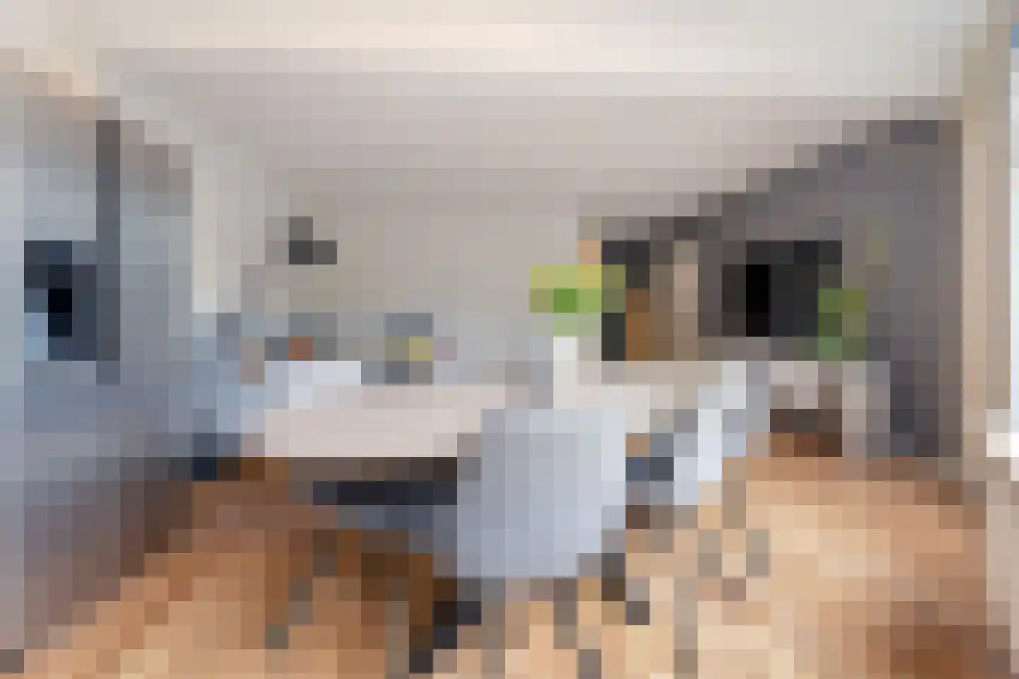Middenerf 50 Breda thumbnail 5