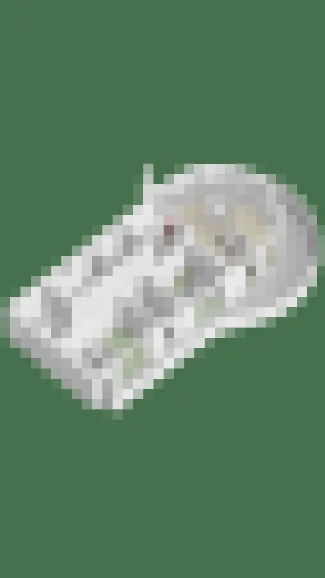Middenhavendam 14 103 Breskens thumbnail 36