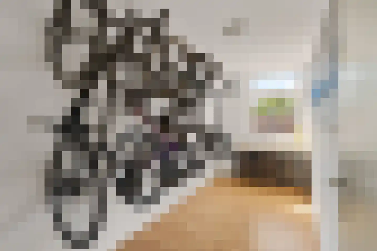 Middenhoefstraat 17 03R Rotterdam thumbnail 21