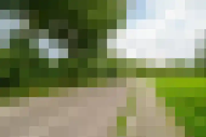 Middenhof 213 Almere thumbnail 30