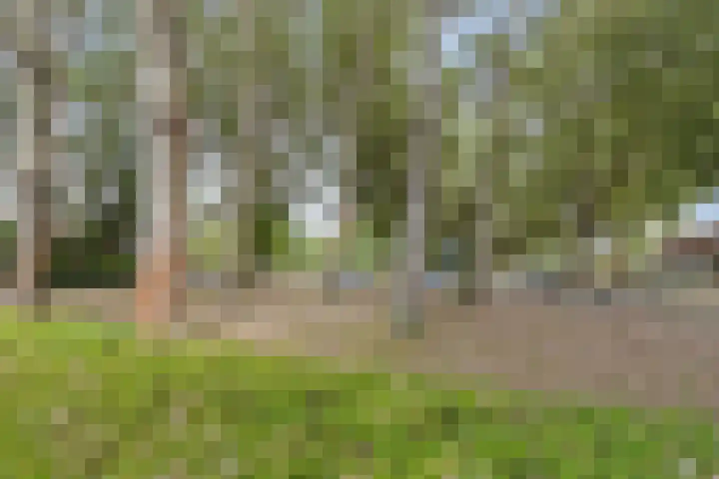 Middenhof 3 Almere thumbnail 25