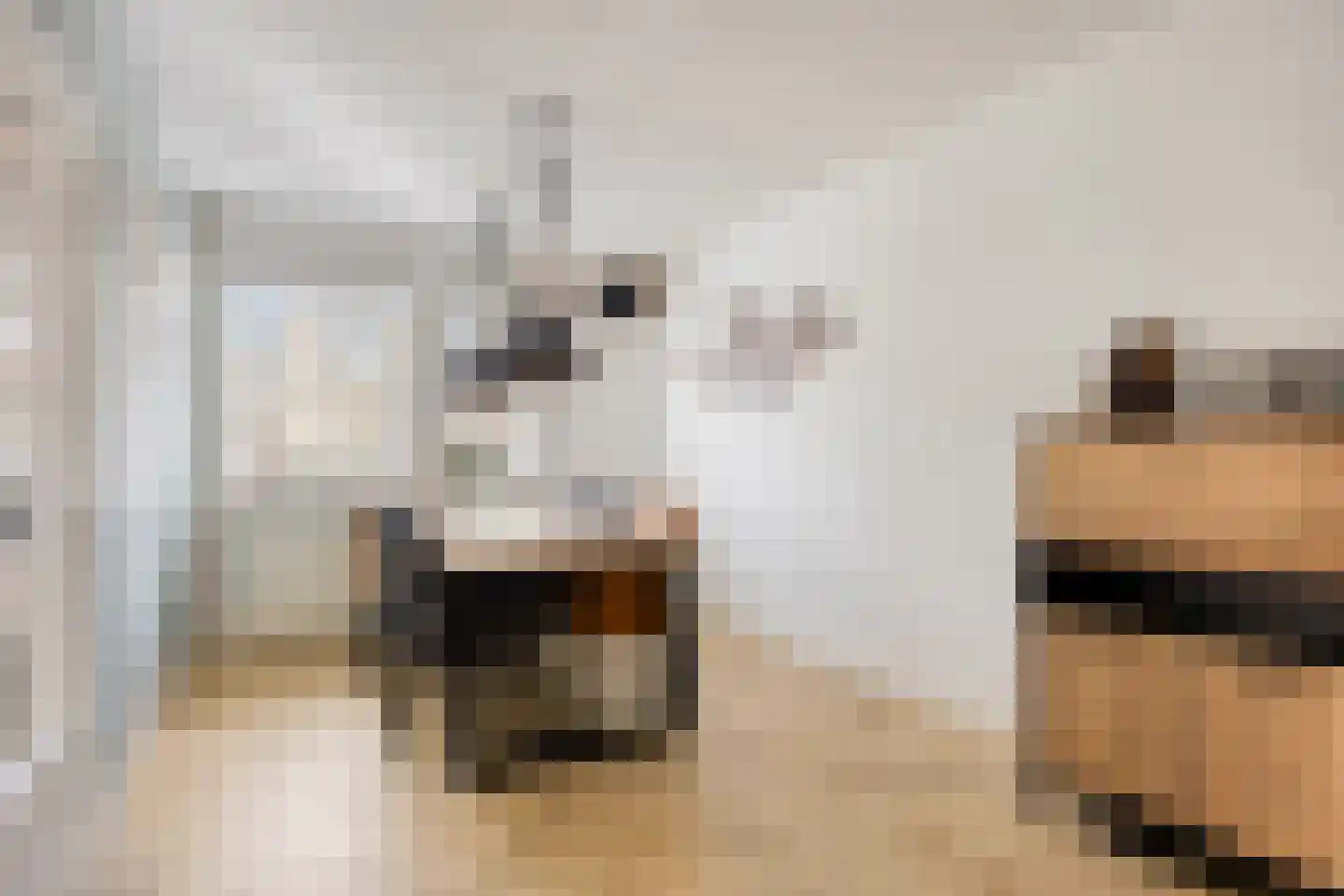 Middenkamp 4 Oss thumbnail 10