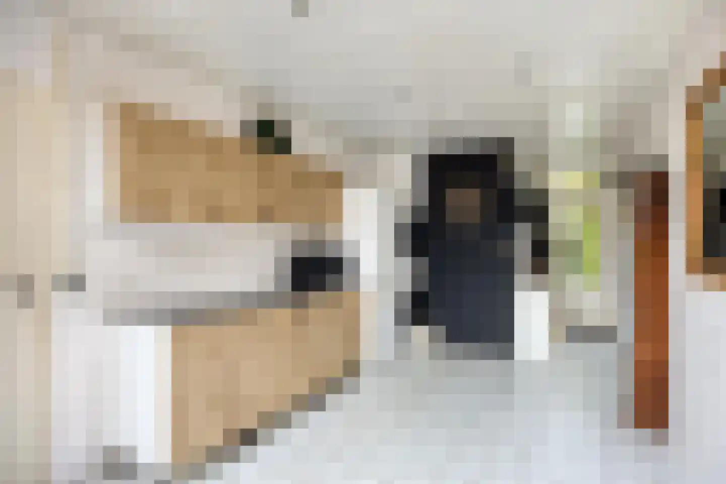 Middenkamp 4 Oss thumbnail 21