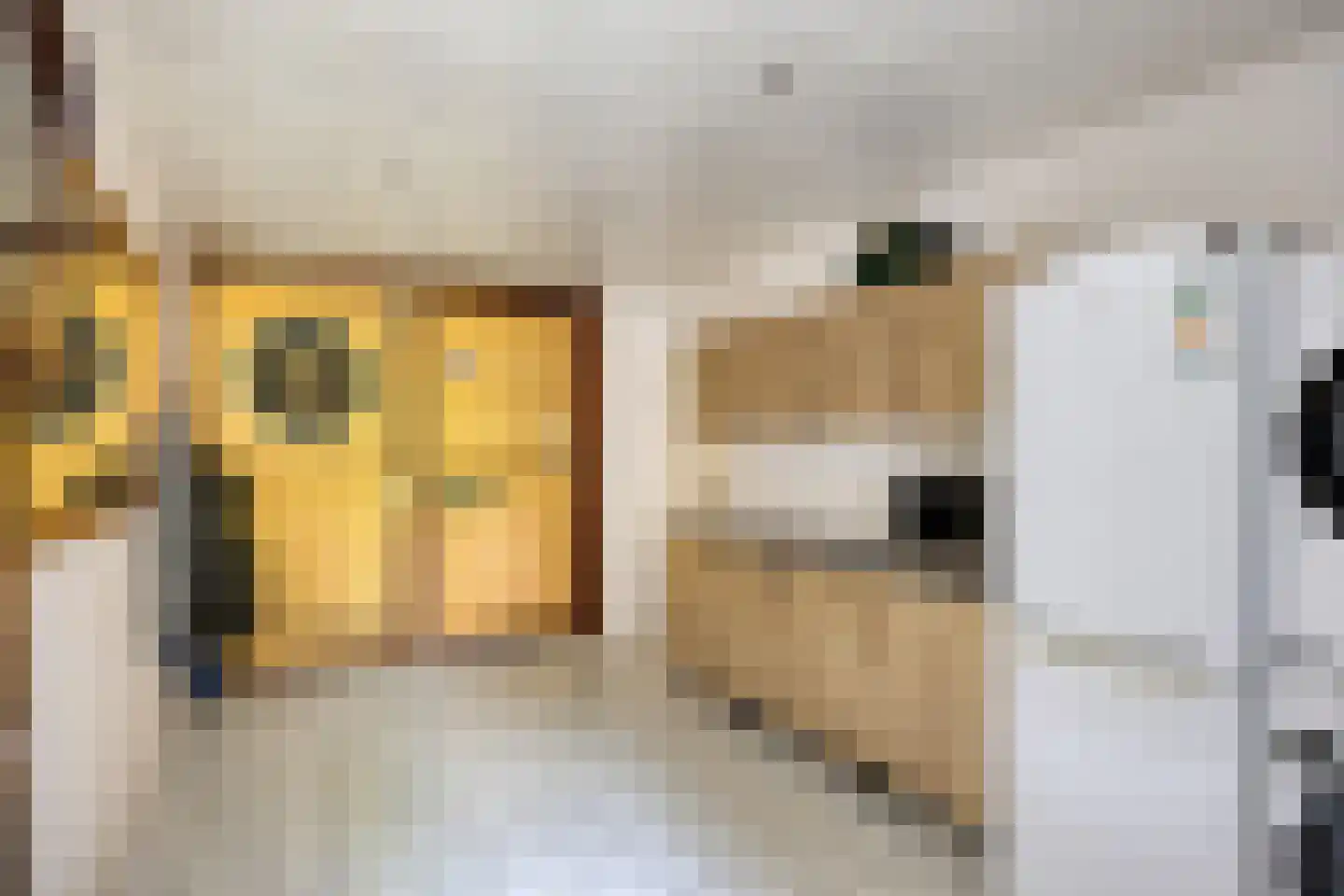 Middenkamp 4 Oss thumbnail 22