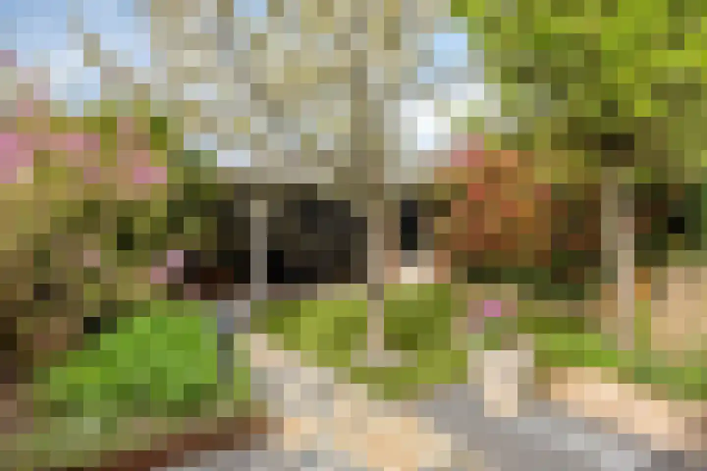 Middenkamp 4 Oss thumbnail 25