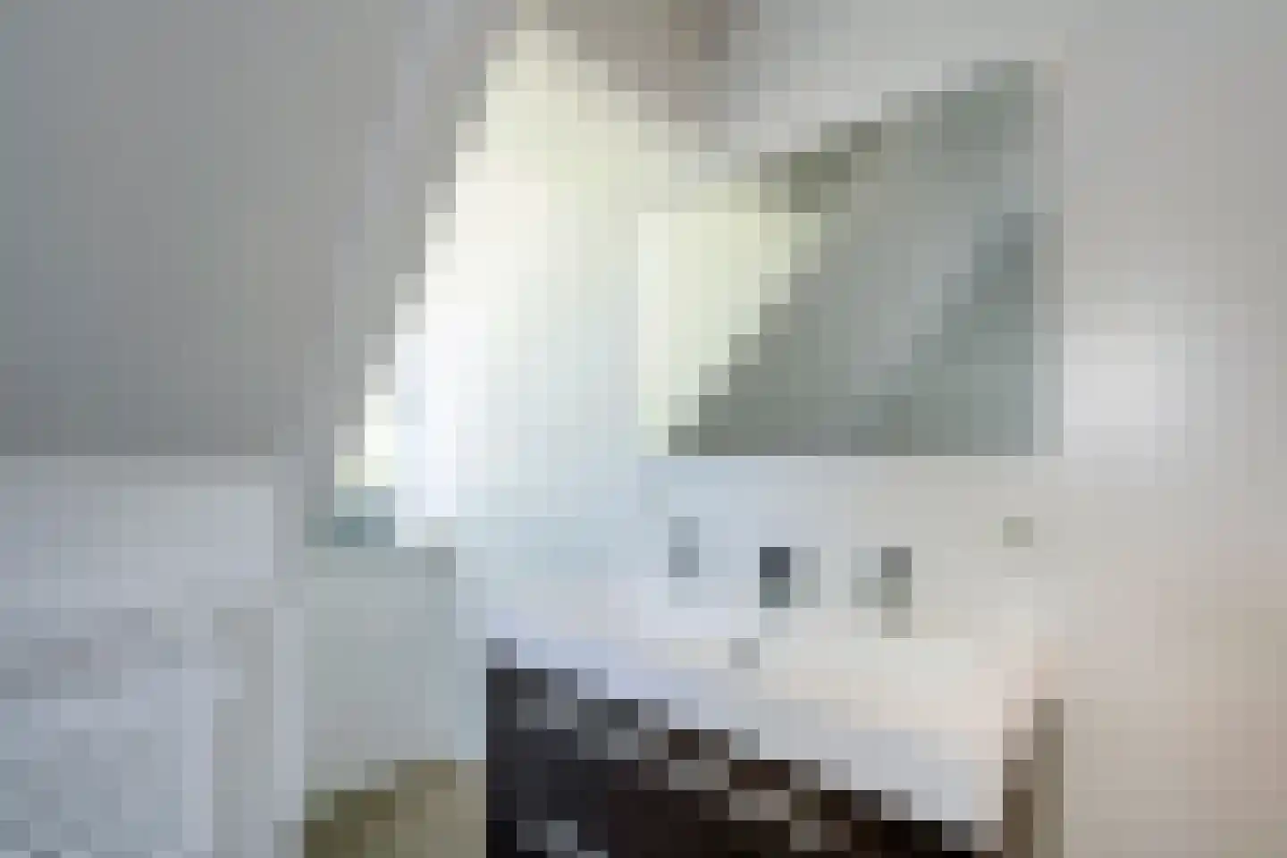 Middenlaan 1 A Bussum thumbnail 31