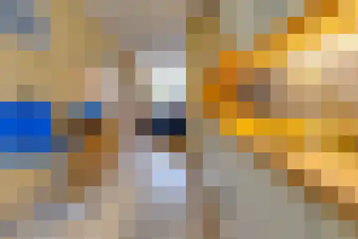 Middenlaan 119 2e Exloërmond thumbnail 10