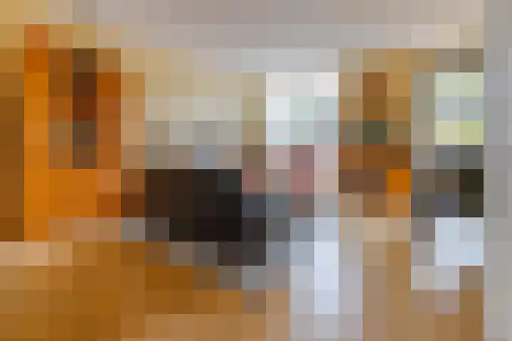 Middenlaan 119 2e Exloërmond thumbnail 11