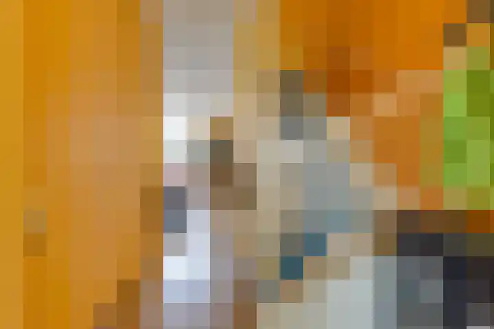 Middenlaan 119 2e Exloërmond thumbnail 13