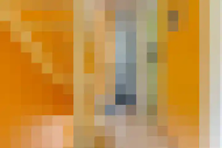 Middenlaan 119 2e Exloërmond thumbnail 14
