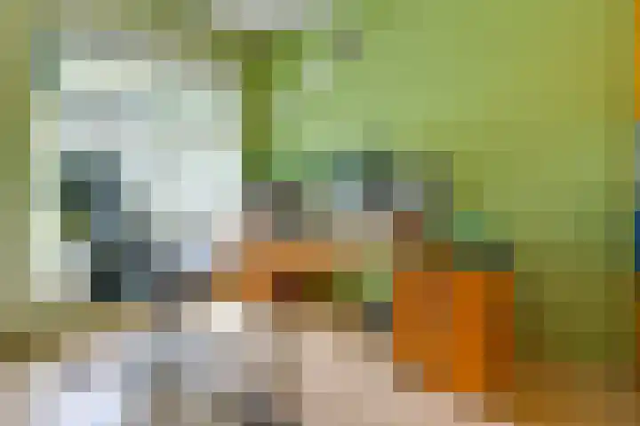 Middenlaan 119 2e Exloërmond thumbnail 22