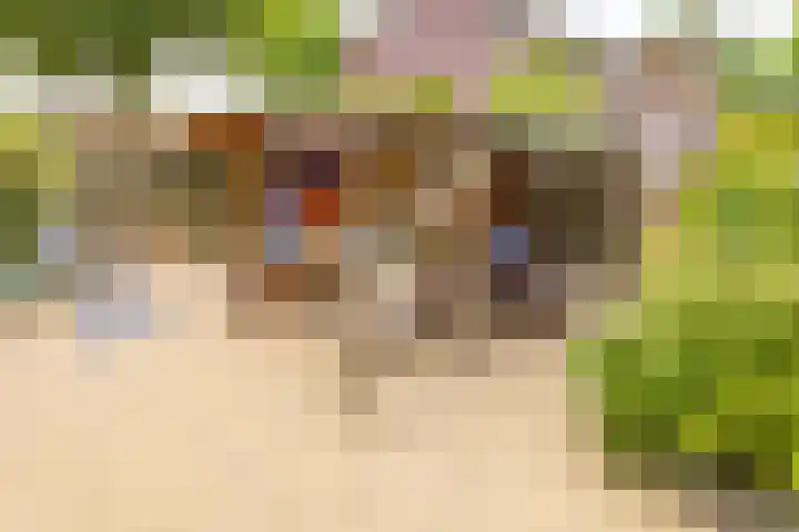 Middenlaan 119 2e Exloërmond thumbnail 29