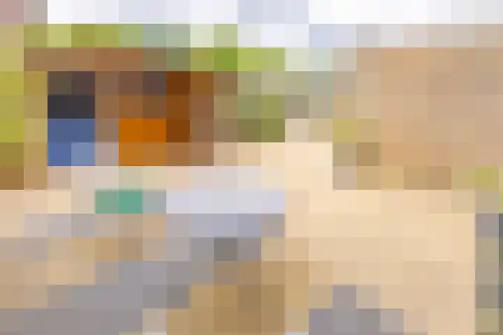 Middenlaan 119 2e Exloërmond thumbnail 32