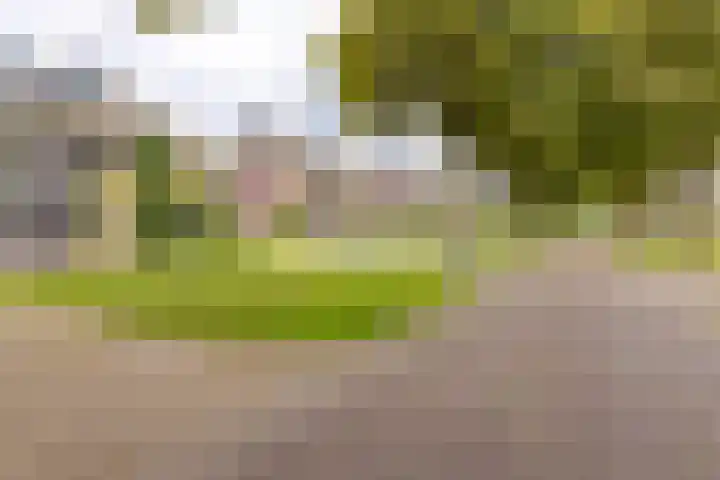 Middenlaan 119 2e Exloërmond thumbnail 4