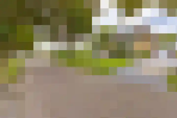 Middenlaan 119 2e Exloërmond thumbnail 5