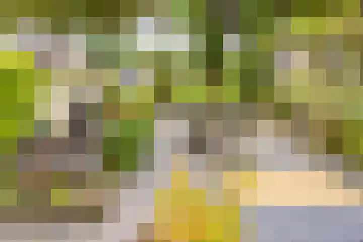 Middenlaan 119 2e Exloërmond thumbnail 6