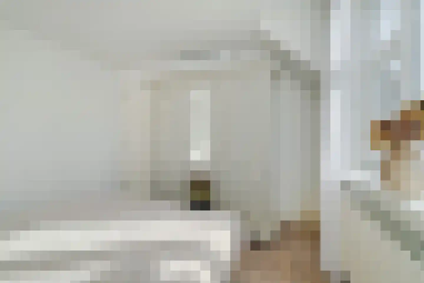 Middenlaan 18 Oosterhout thumbnail 15