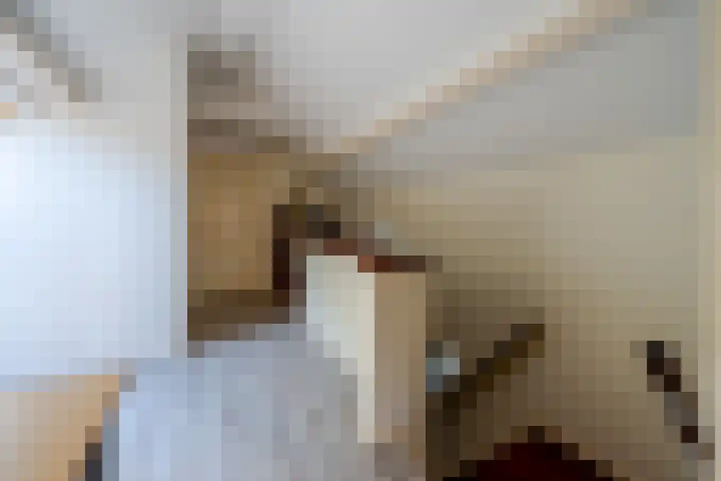 Middenlaan 22 Doorn thumbnail 26