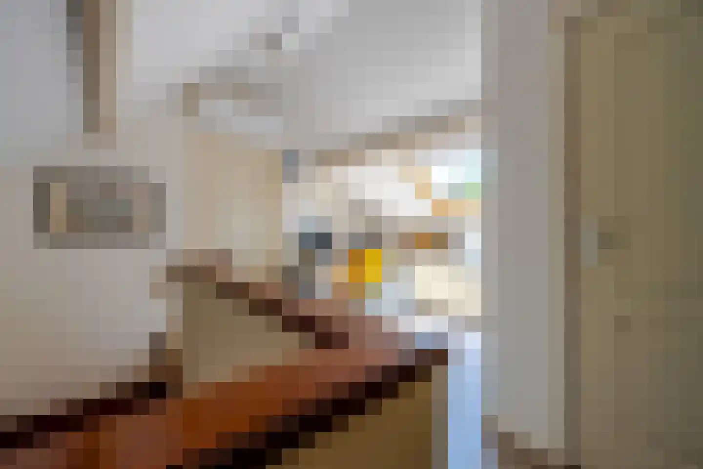 Middenlaan 22 Doorn thumbnail 27
