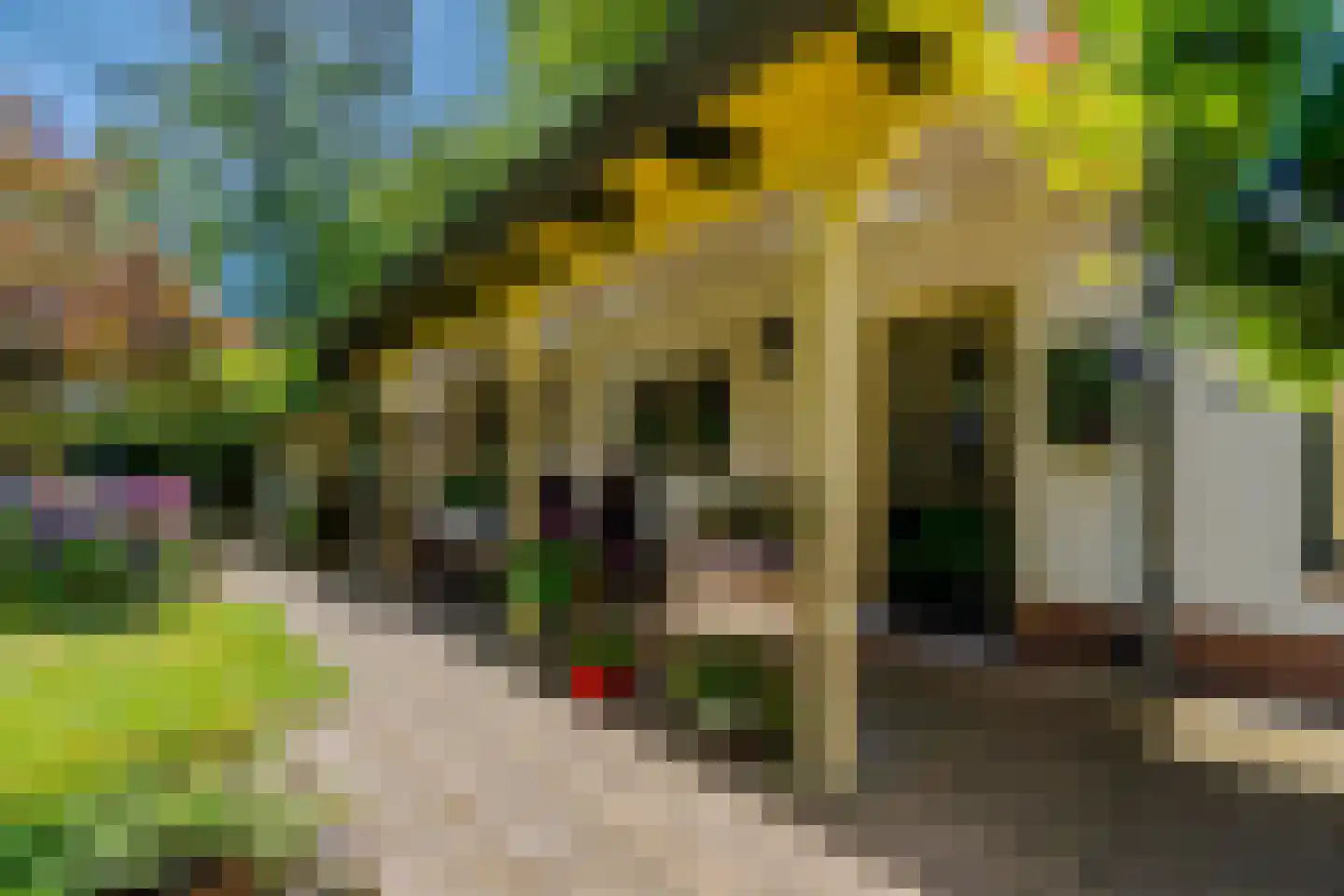 Middenlaan 22 Doorn thumbnail 33