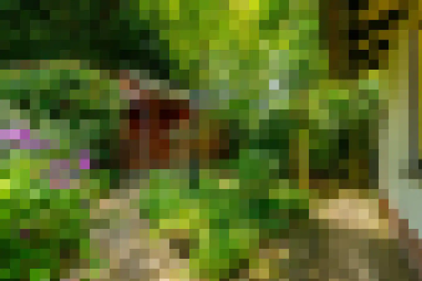 Middenlaan 22 Doorn thumbnail 38