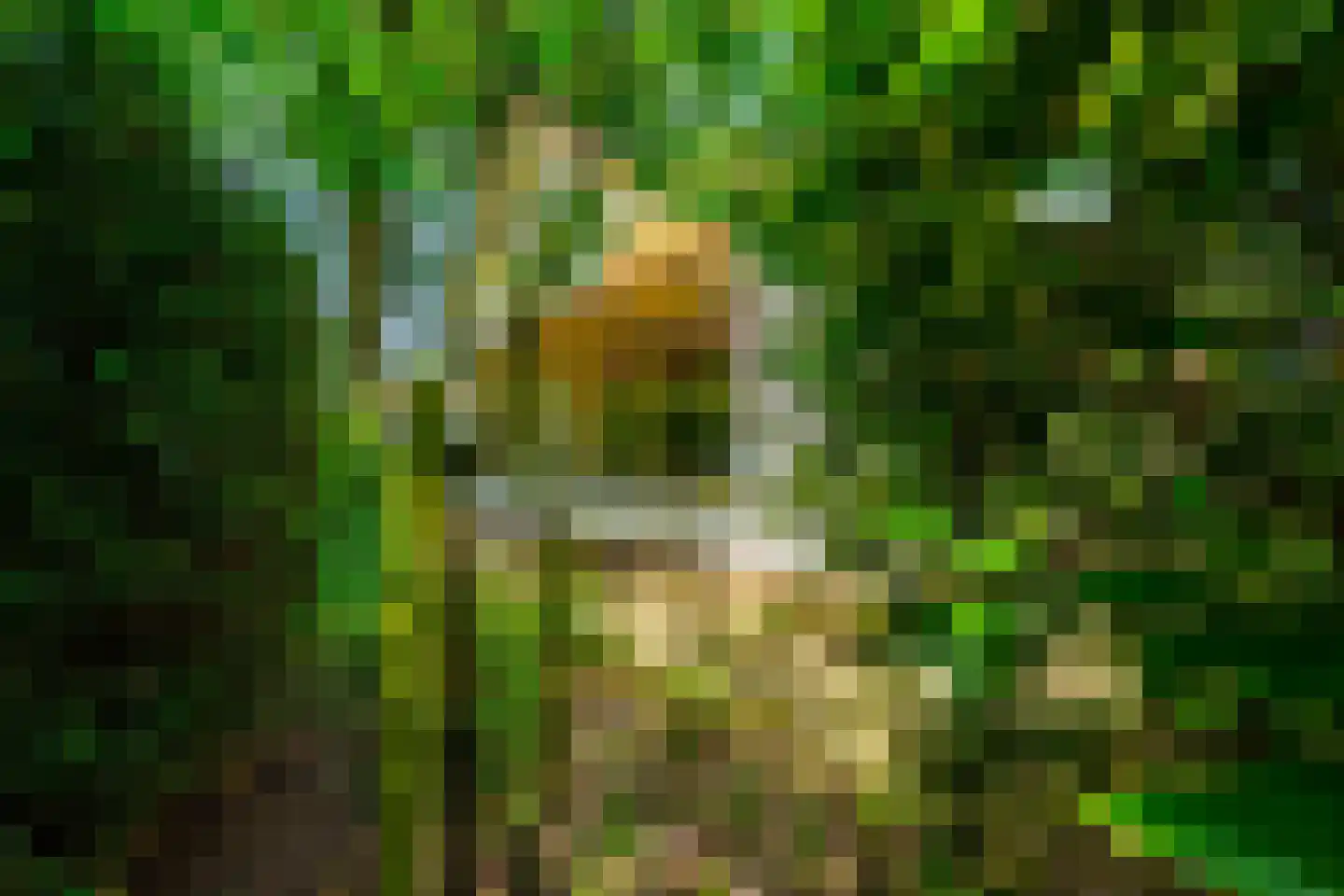 Middenlaan 22 Doorn thumbnail 39