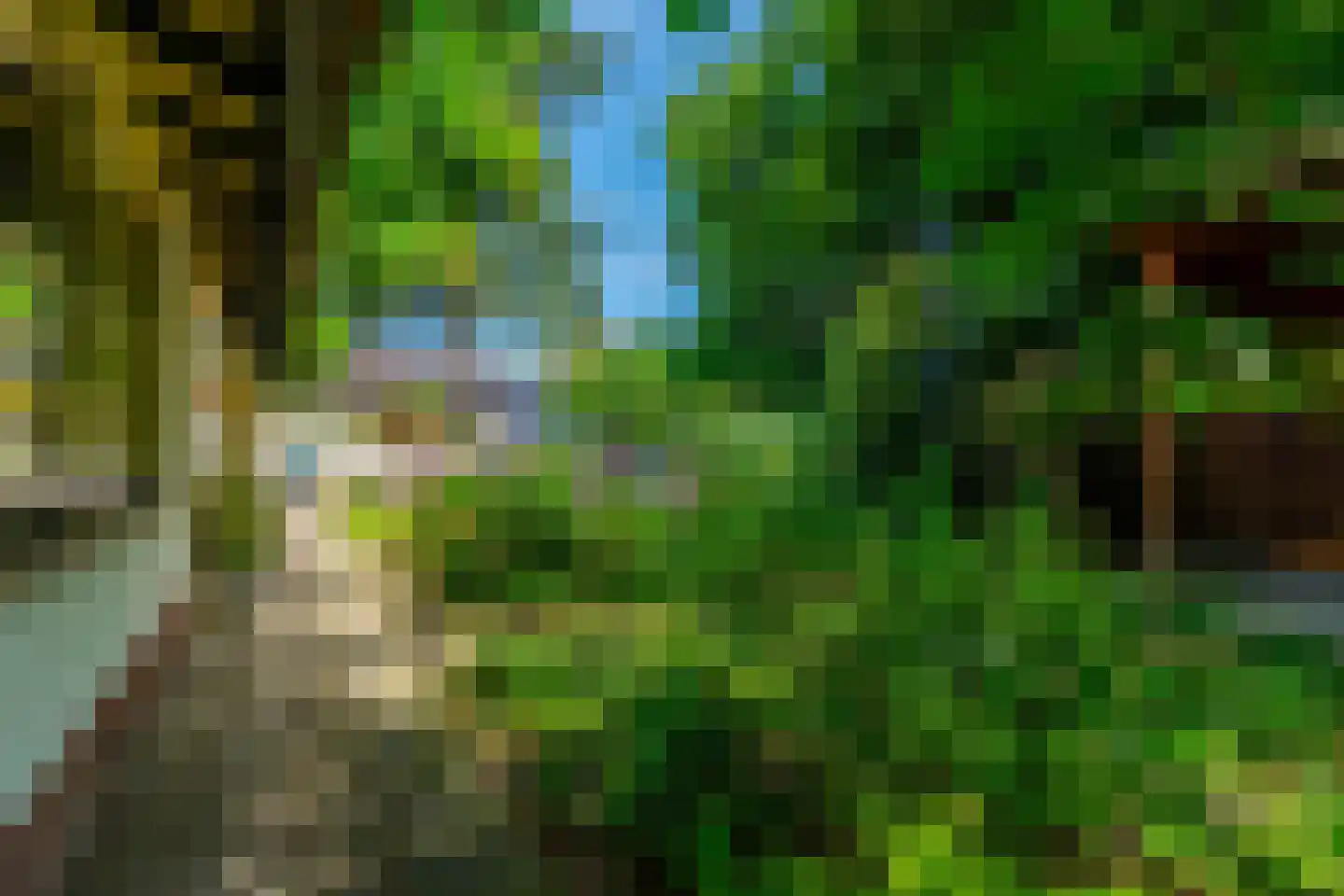 Middenlaan 22 Doorn thumbnail 41