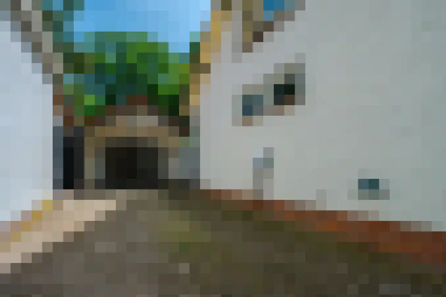 Middenlaan 22 Doorn thumbnail 42