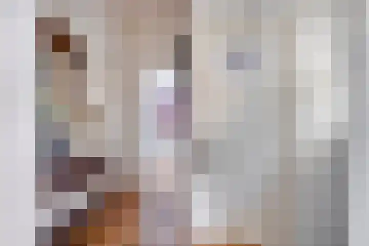 Middenlaan 22 Dwingeloo thumbnail 18