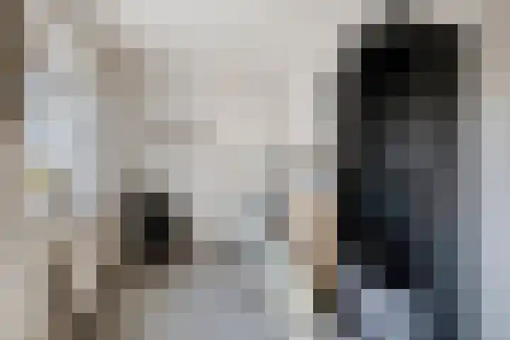 Middenlaan 22 Dwingeloo thumbnail 24