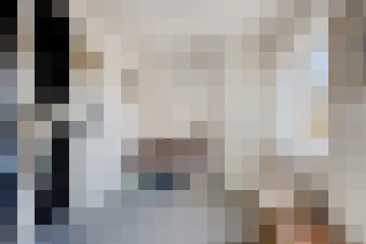 Middenlaan 22 Dwingeloo thumbnail 25