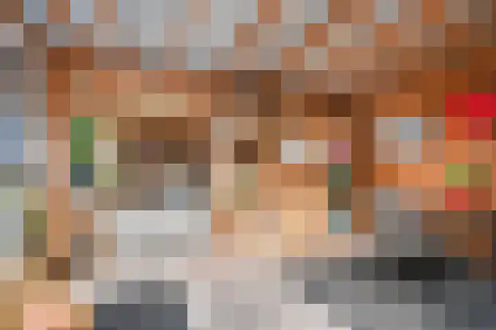 Middenlaan 22 Dwingeloo thumbnail 27