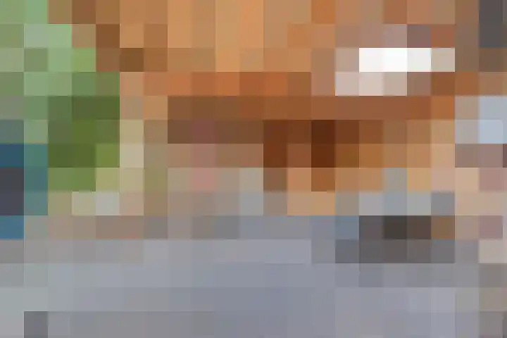 Middenlaan 22 Dwingeloo thumbnail 29