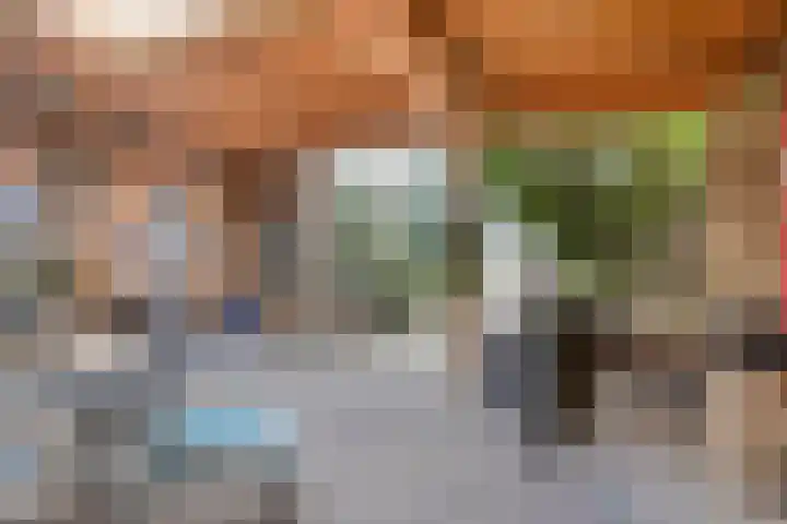 Middenlaan 22 Dwingeloo thumbnail 31
