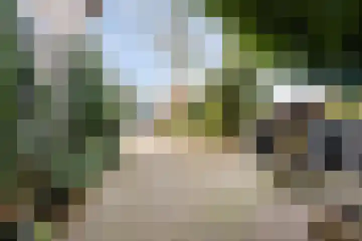 Middenlaan 22 Dwingeloo thumbnail 32